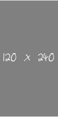 120 x 240 Banner Ad